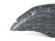 Накладка бампера передняя JAGUAR XF X250 2008-2011 (C2Z5448) 8X2317626, 8X2317626, B